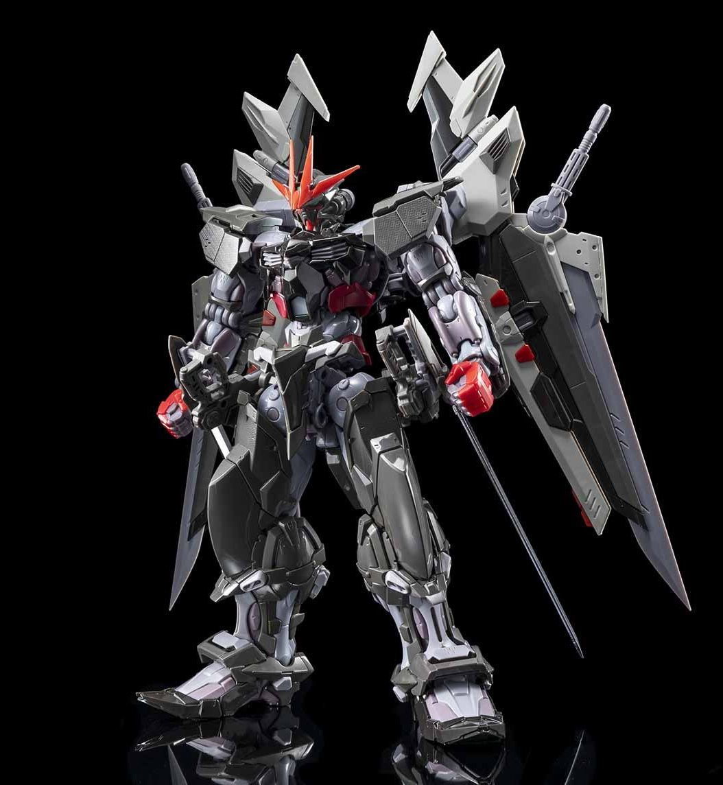 GUNDAM ASTRAY NOIR